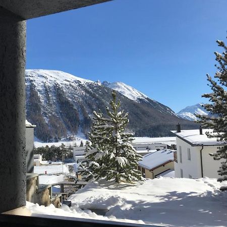 Relaxing Confortable Studio, Heated Garage, Skiroom Samedan Exteriör bild